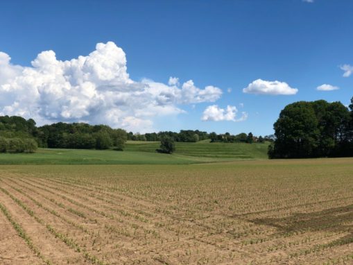 property_gallery_img_3947