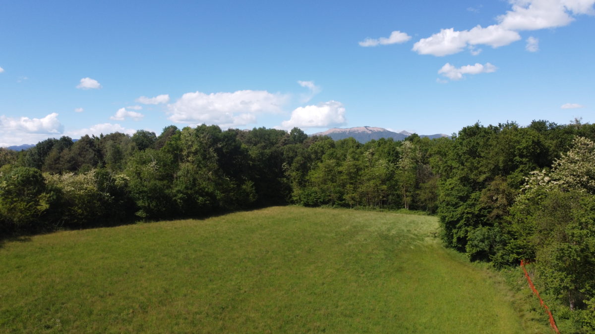 property_gallery_img_10443