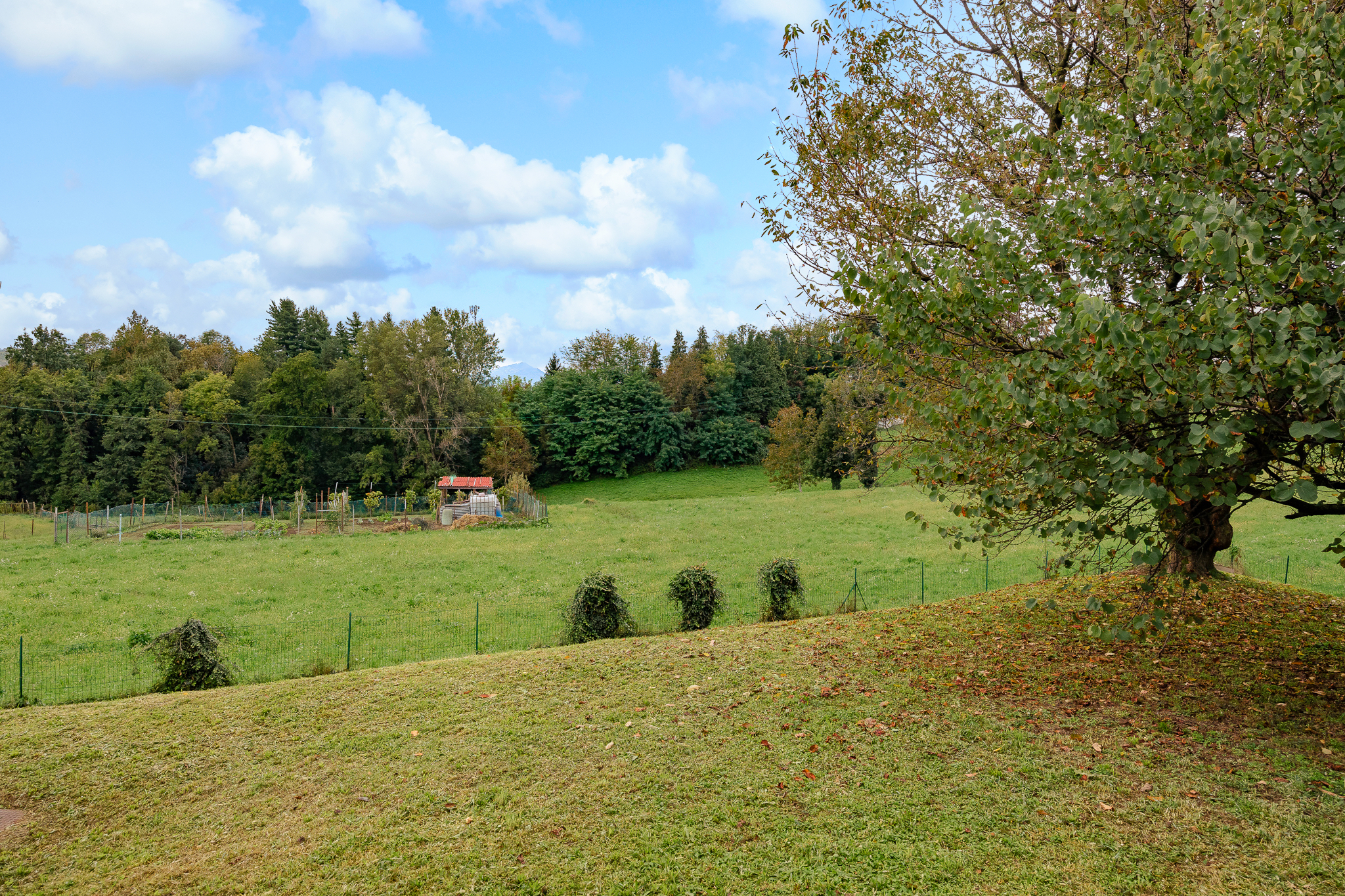 property_gallery_img_12623